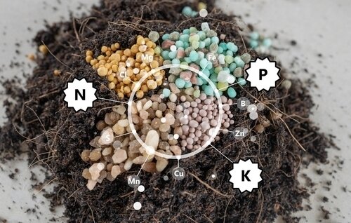Fertilizantes simples NPK