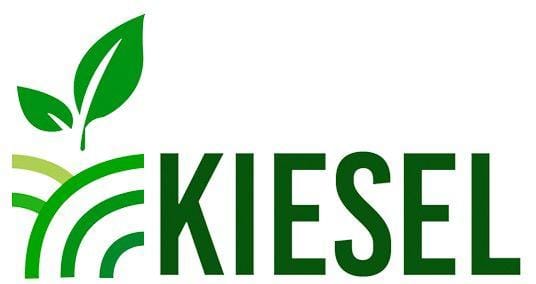 Kiesel Paraguay